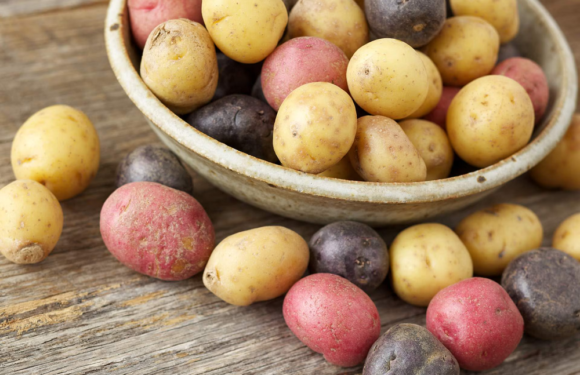 Types Of Potatoes And Their Culinary Applications