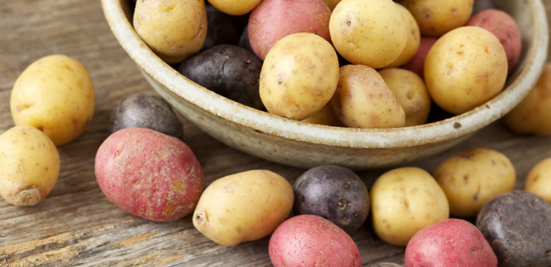 Types Of Potatoes And Their Culinary Applications