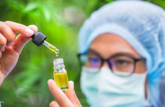 Why should You purchase CBD from authorized businesses?