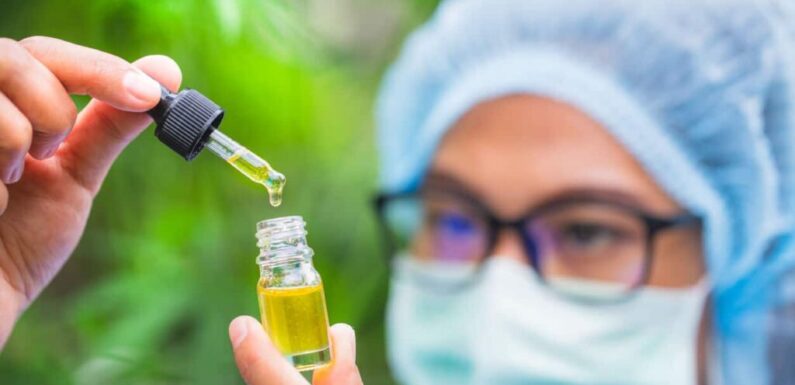 Why should You purchase CBD from authorized businesses?